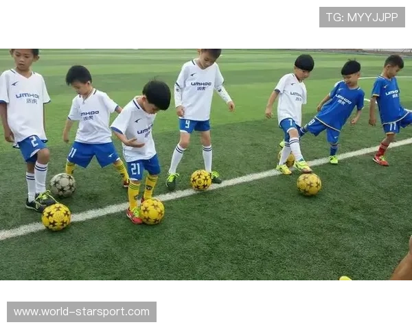 太阳冲击西部前五：新时代体育盛事的华丽篇章