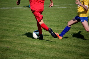 星空中国官网-“拳王争霸：四川省体育馆拳击赛将诞生新的世界拳王”